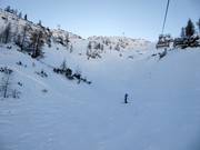 Gamskogel ski route
