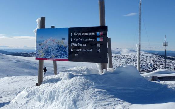 Hedmark: orientation within ski resorts – Orientation Trysil