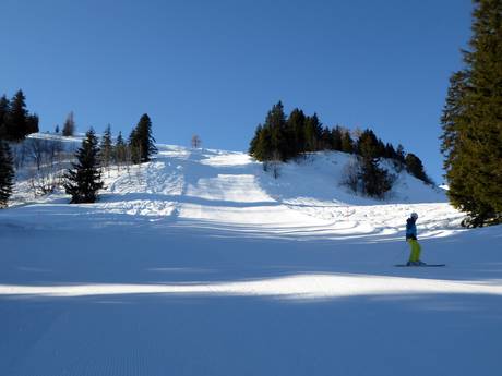 Ski resorts for advanced skiers and freeriding Alpine Rhine Valley (Alpenrheintal) – Advanced skiers, freeriders Pizol – Bad Ragaz/Wangs