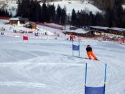 Parallel giant slalom course