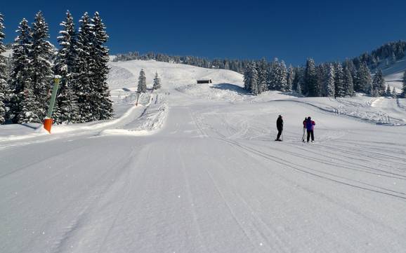 Ski resorts for beginners in the District of Feldkirch – Beginners Laterns – Gapfohl