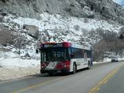 Snowbird ski bus