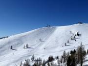 Finsterbach freeride slopes