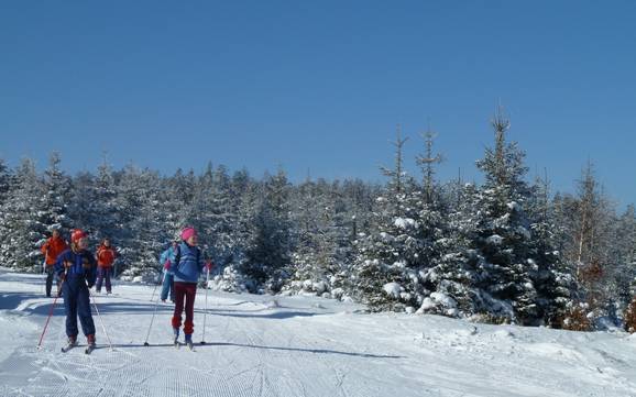 Cross-country skiing Northern Black Forest – Cross-country skiing Kaltenbronn