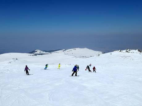 Eastern Europe: Test reports from ski resorts – Test report Vitosha/Aleko – Sofia