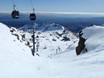 Ski resorts for advanced skiers and freeriding North Island – Advanced skiers, freeriders Whakapapa – Mt. Ruapehu