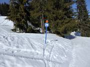 Slope marking in the ski resort