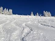 Fresh powder snow on the Brauneck