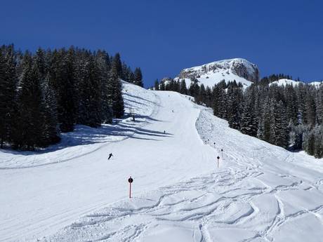 Ski resorts for advanced skiers and freeriding Kleinwalsertal – Advanced skiers, freeriders Ifen