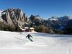 Val di Fassa (Fassa Valley/Fassatal): Test reports from ski resorts – Test report Catinaccio/Ciampedie – Vigo di Fassa/Pera di Fassa