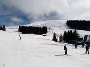View of the slopes on the Mont Joux