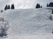 Ski resorts for advanced skiers and freeriding Albertville – Advanced skiers, freeriders Espace Diamant – Les Saisies/Notre-Dame-de-Bellecombe/Praz sur Arly/Flumet/Crest-Voland