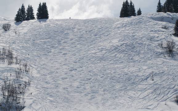 Ski resorts for advanced skiers and freeriding Beaufortain – Advanced skiers, freeriders Espace Diamant – Les Saisies/Notre-Dame-de-Bellecombe/Praz sur Arly/Flumet/Crest-Voland