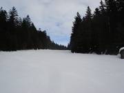 The slopes stretches one and a half km through a forest aisle.