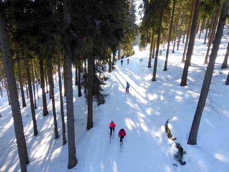 Cross-country skiing Eastern Europe – Cross-country skiing Špindlerův Mlýn
