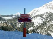 Directional signs in the ski resort