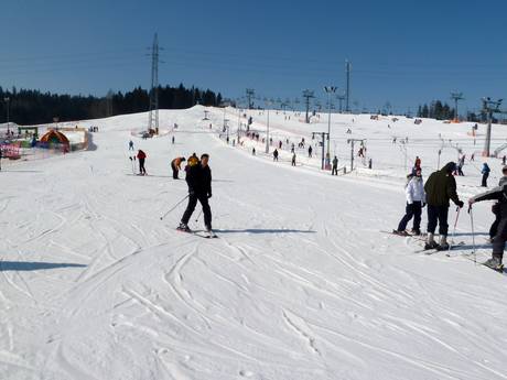 Ski resorts for beginners in Southern Poland – Beginners Białka Tatrzańska – Kotelnica/Kaniówka/Bania