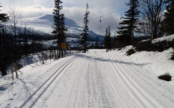 Cross-country skiing Telemark – Cross-country skiing Gaustablikk – Rjukan