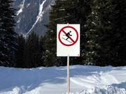 No skiing is permitted in forest areas