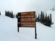 Slope sign-posting in the Kicking Horse ski resort