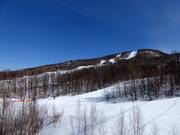 View of the wooded slopes of Mont Tremblant