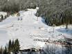 Ski resorts for beginners in the Salzkammergut – Beginners Dachstein West – Gosau/Russbach/Annaberg