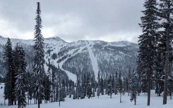 Skiing in the Central Kootenay Regional District