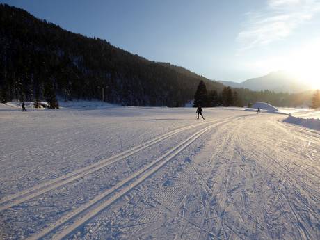 Cross-country skiing Wetterstein Mountains and Mieming Range – Cross-country skiing Gschwandtkopf – Seefeld