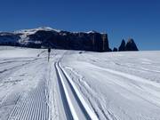 Cross-country trails on the Alpe di Siusi (Seiser Alm) with Sciliar (Schlern) in the background