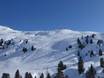 Ski resorts for advanced skiers and freeriding Salzachtal – Advanced skiers, freeriders Wildkogel – Neukirchen/Bramberg