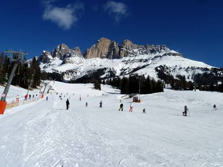 Ski resorts for beginners in Trentino-Alto Adige (Trentino-Südtirol) – Beginners Carezza