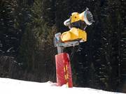 One of over 400 snow machines