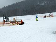 Seillift Hirschzwergland - Rope tow/baby lift with low rope tow