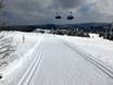 Cross-country skiing Southern Black Forest – Cross-country skiing Feldberg – Seebuck/Grafenmatt/Fahl