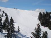 Nice and wide: Piste Gueux on Mont Rond 