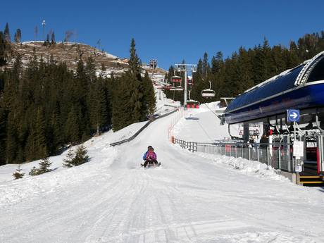 Toboggan runs in the ski resort of Latemar