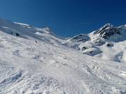 Powder snow slope from Gentianes to Tortin