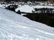 Powder snow area on the Schelpen