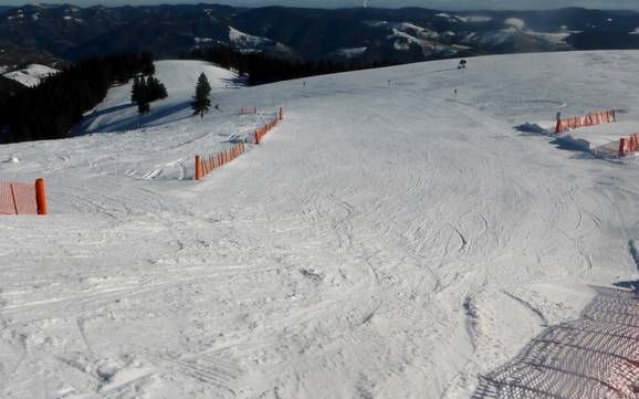 Ski resorts for beginners in the Black Forest Region Belchen – Beginners Belchen