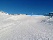 Groomed slope on the Corviglia