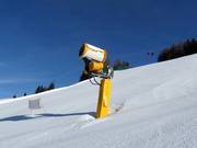Efficient snow cannon in the ski resort of Klausberg