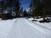 Cross-country skiing Dalarna County – Cross-country skiing Idre Fjäll