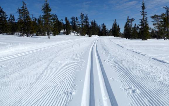 Cross-country skiing Hedmark – Cross-country skiing Trysil