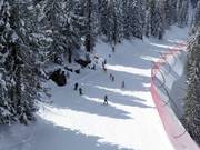 Children's ski course on the Alpe Cermis