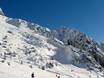 Ski resorts for advanced skiers and freeriding Tiroler Zugspitz Arena – Advanced skiers, freeriders Ehrwalder Alm – Ehrwald