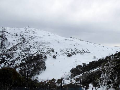 Ski resorts for advanced skiers and freeriding Great Dividing Range – Advanced skiers, freeriders Mt. Buller