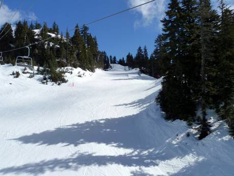 Slope offering North Shore Mountains – Slope offering Mount Seymour