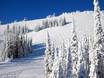 Ski resorts for advanced skiers and freeriding Thompson Okanagan – Advanced skiers, freeriders Sun Peaks