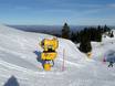 Snow reliability Dinaric Alps – Snow reliability Jahorina