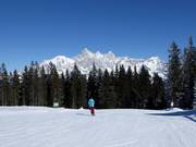 Slopes in front of the Dachstein Mountains